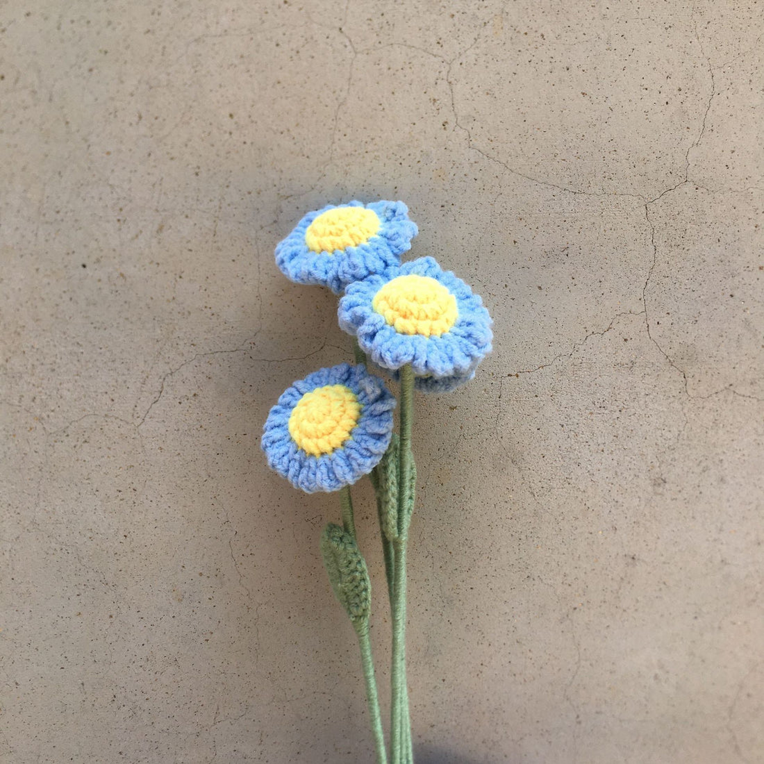 Little Daisies